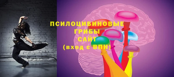 гидра Карпинск