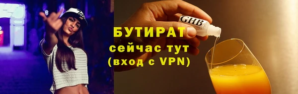 гидра Карпинск