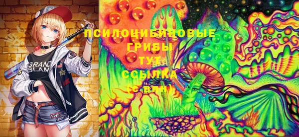 гидра Карпинск