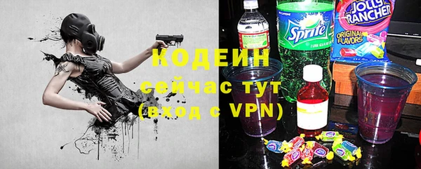 гидра Карпинск