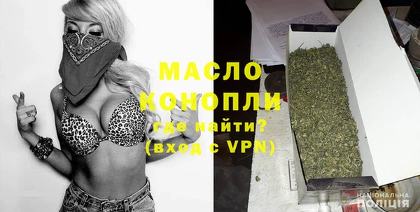 гидра Карпинск