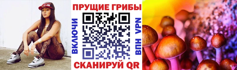 Галлюциногенные грибы ЛСД  Купить где  Дубна 